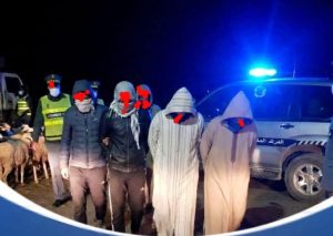 مديونة: ضربة نوعية للدرك الملكي تُنهي نشاط عصابة متخصصة في سرقة الماشية